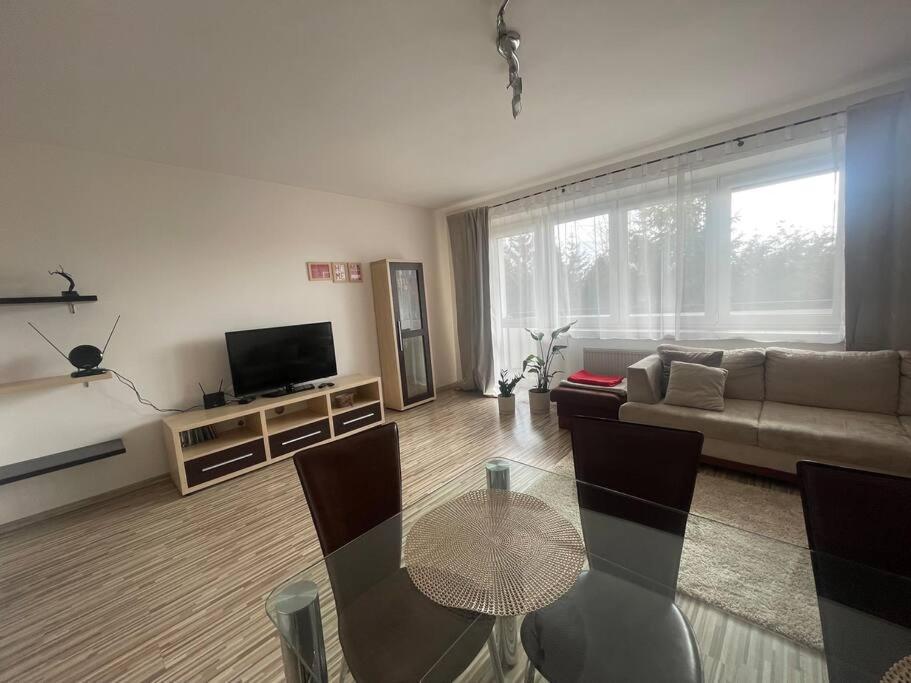 Vip Kolorowa Rzeszow
