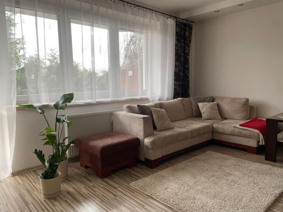Apartment Vip Kolorowa *
